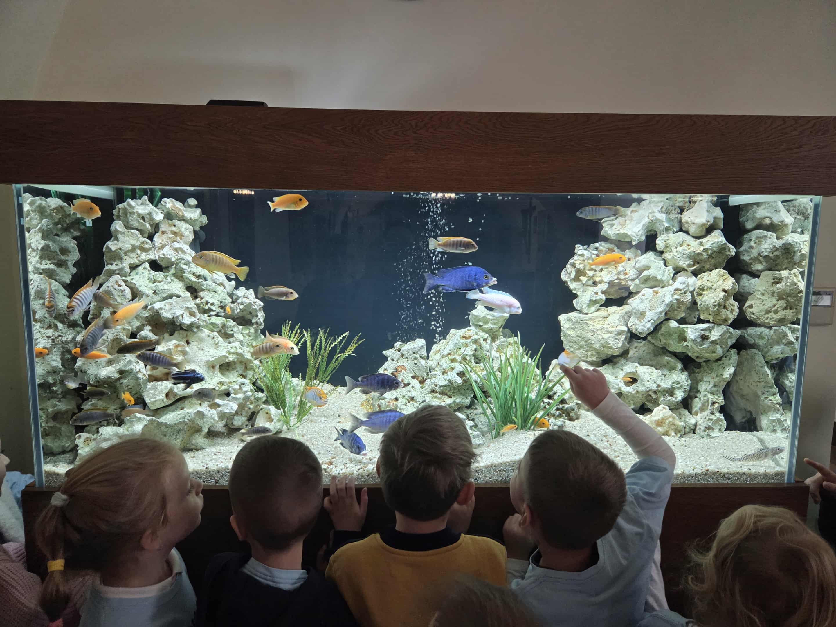 Messenger creation 77A07D45 FD2A 406C 9C19 57B662D4C2D8