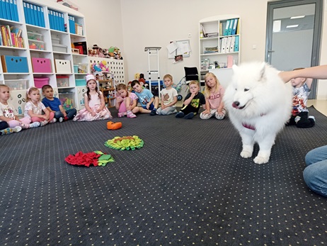 dog2