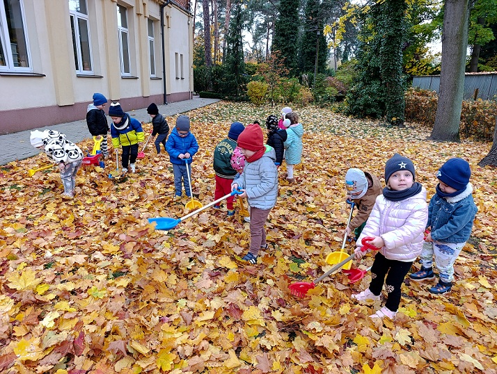 Jesienne aktywności 7